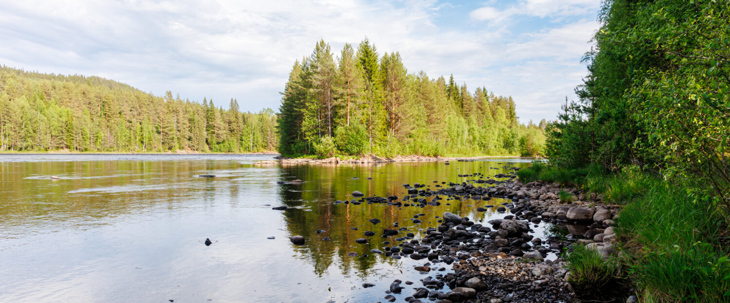 Sveriges Fiskevattenägareförbund