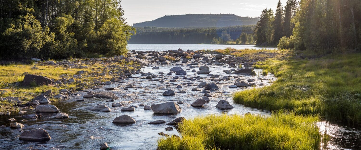 Sveriges Fiskevattenägareförbund